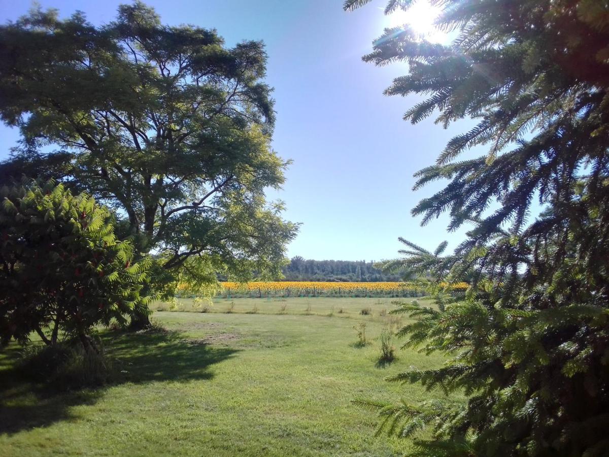 Au Repos Des Elfes Villa Braye-sous-Faye Exterior foto