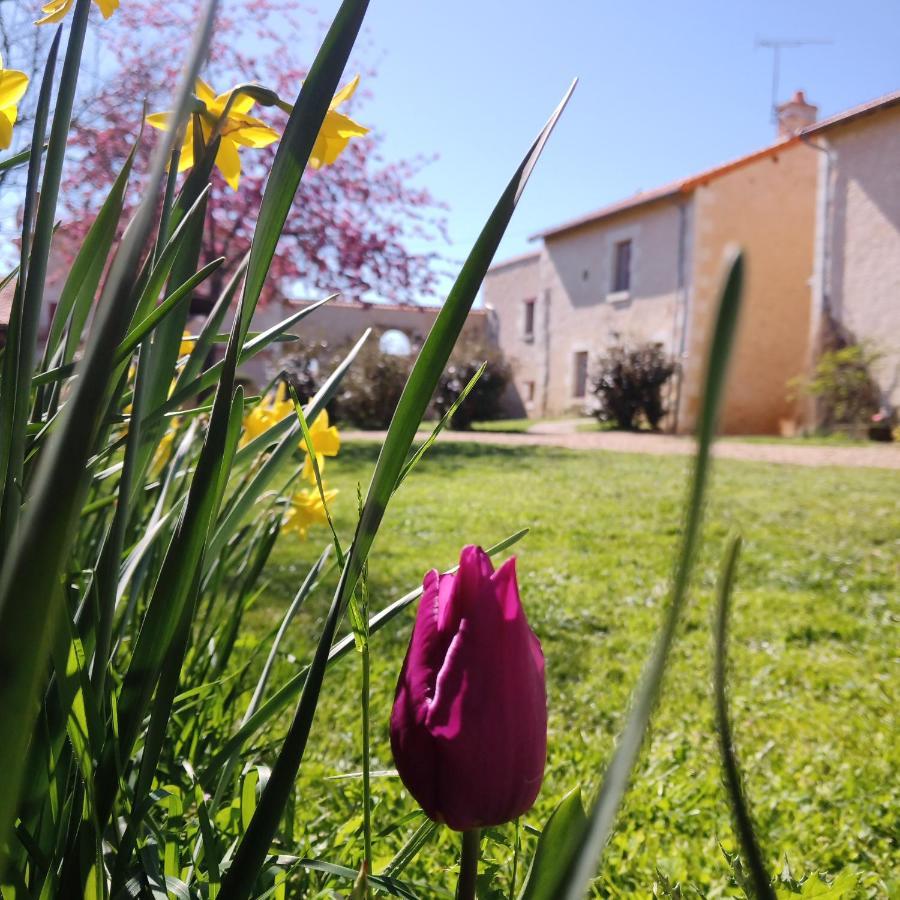 Au Repos Des Elfes Villa Braye-sous-Faye Exterior foto