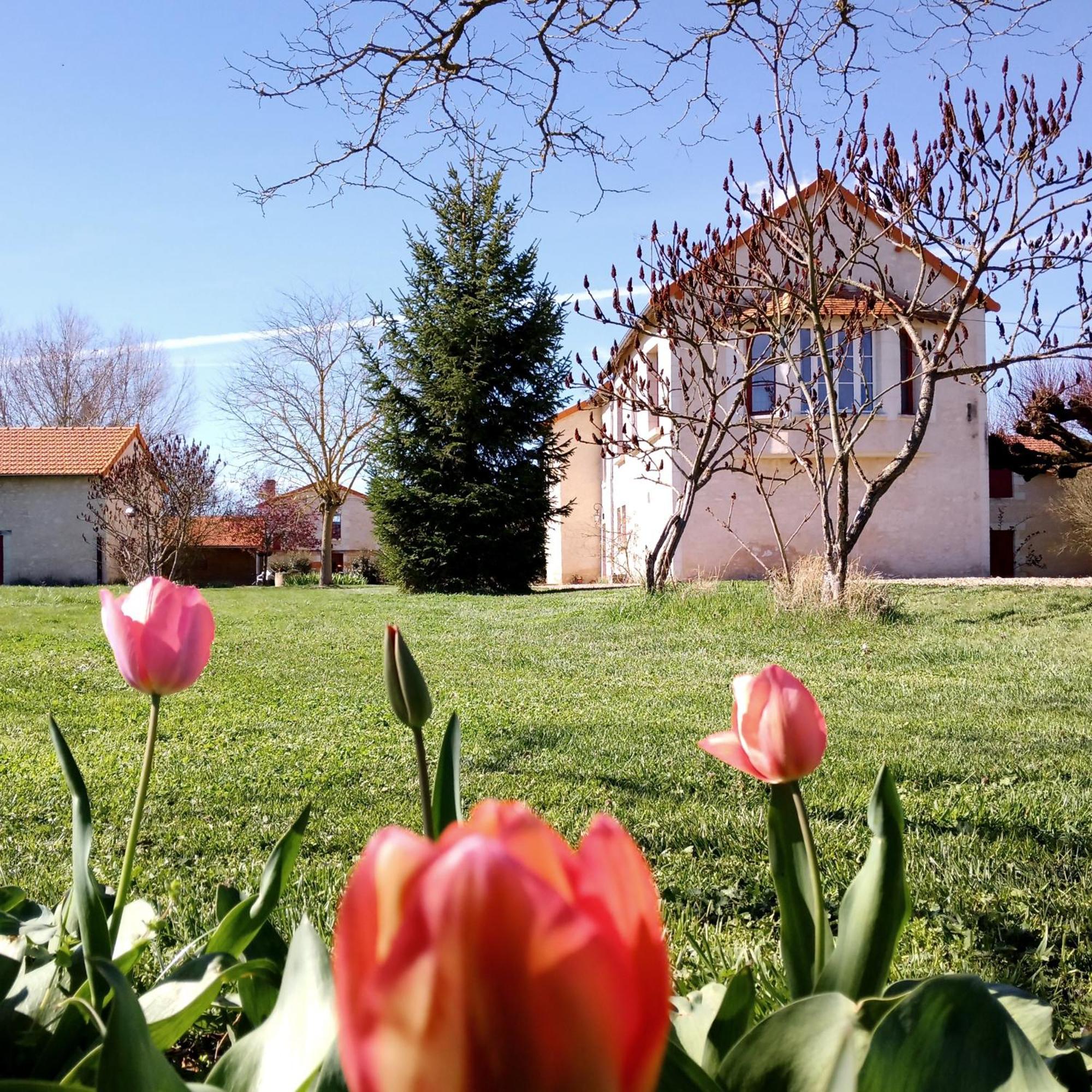 Au Repos Des Elfes Villa Braye-sous-Faye Exterior foto